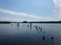 DSC02809
