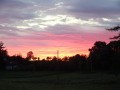 DSC02826