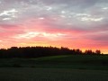 DSC02828