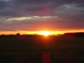 DSC02830