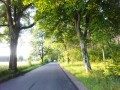 DSC02836