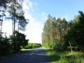 DSC02848