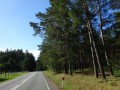 DSC02849