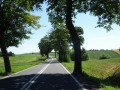 DSC02855