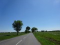 DSC02856