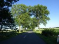 DSC02862