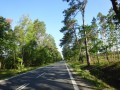 DSC03310