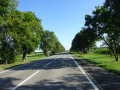 DSC03314