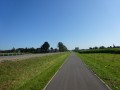 DSC03317