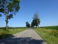 DSC03318