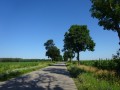 DSC03319