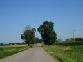DSC03320
