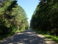 DSC03321