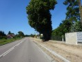 DSC03326