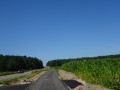 DSC03327