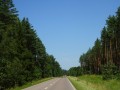 DSC03328