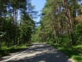 DSC03332