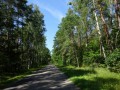 DSC03333