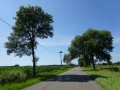 DSC03339