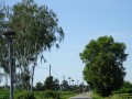 DSC03340