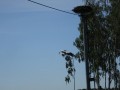DSC03341