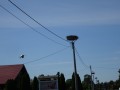 DSC03344