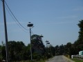 DSC03345