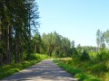 DSC03347