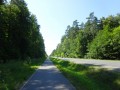 DSC03348