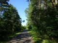 DSC03354