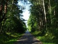 DSC03355