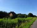 DSC03356