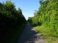 DSC03357