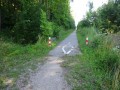 DSC03363