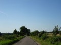 DSC03365