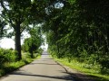 DSC03367