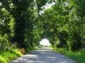DSC03368