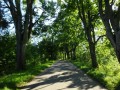 DSC03370