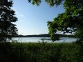 DSC03371
