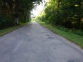 DSC03373