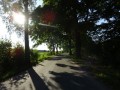 DSC03374