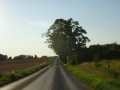 DSC03377