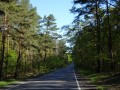 DSC00895