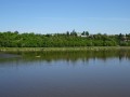 DSC00901