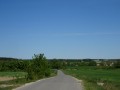 DSC00906