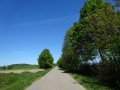 DSC00907
