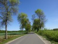 DSC00910