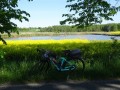 DSC00917