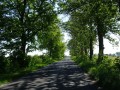 DSC00918