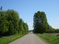 DSC00922